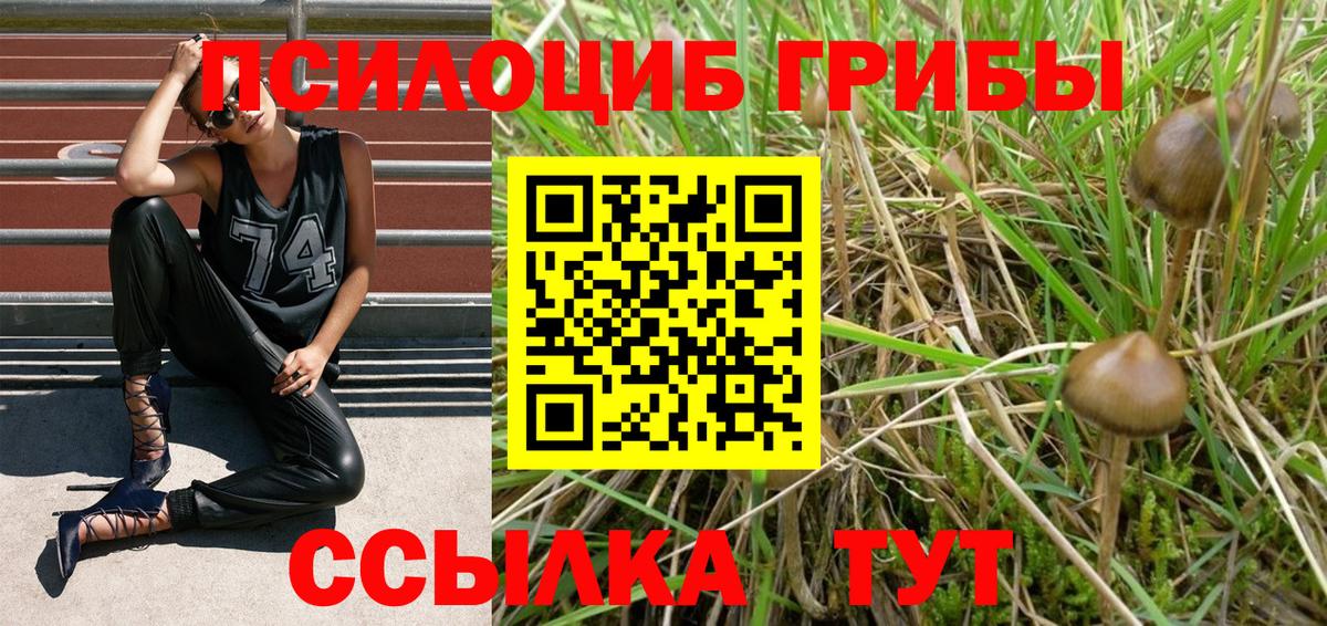где найти наркотики  Псилоцибиновые грибы прущие грибы  Вход с VPN  Слободской 